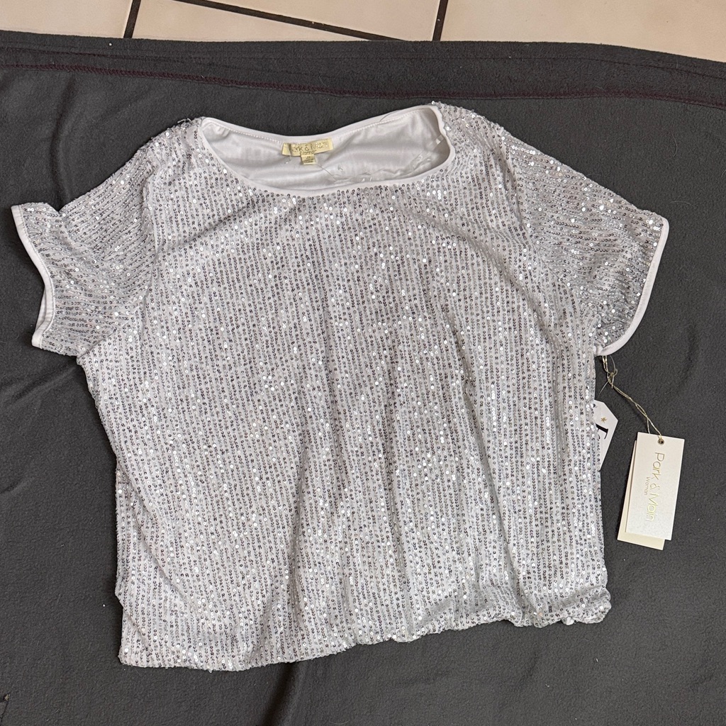Sequin Silver Top